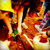 adelaidegerardi - L'agricoltura insegna ai bambini a prendersi cura dell'ambiente e del paesaggio. È un esperienza emozionale dalla quale i piccoli imparano anche che solo se si prendono cura di una cosa possono averne i frutti#agricolturamodomio16